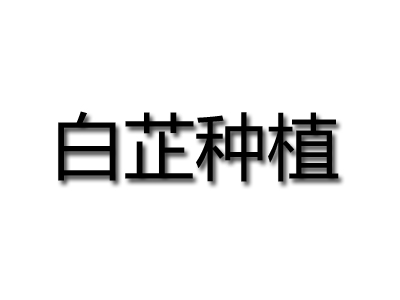 白芷种植品牌LOGO