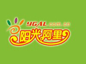 阳光阿里加盟费
