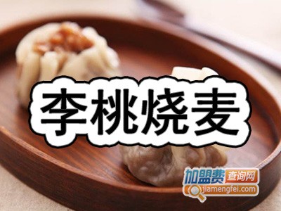 李桃烧麦加盟