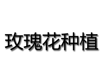 玫瑰花种植品牌LOGO