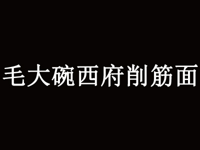 毛大碗西府削筋面加盟费