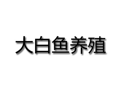 大白鱼养殖品牌LOGO