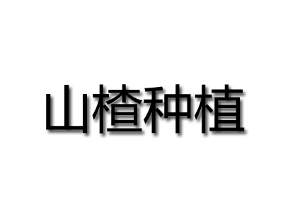 山楂种植品牌LOGO