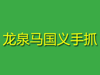 龙泉马国义手抓加盟费
