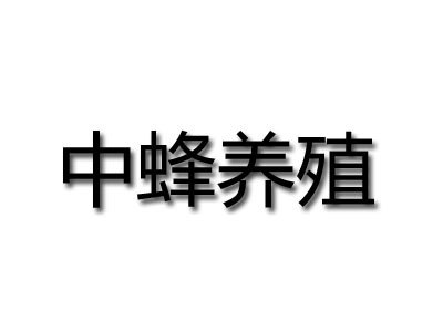 中蜂养殖品牌LOGO