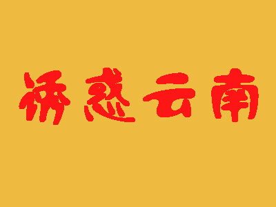 诱惑云南加盟费