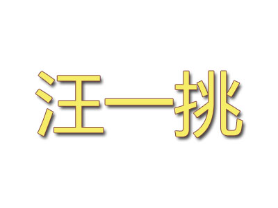 汪一挑馄饨品牌LOGO