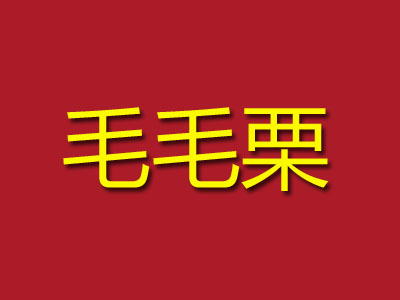 毛毛栗加盟费