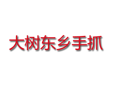 大树东乡手抓品牌LOGO