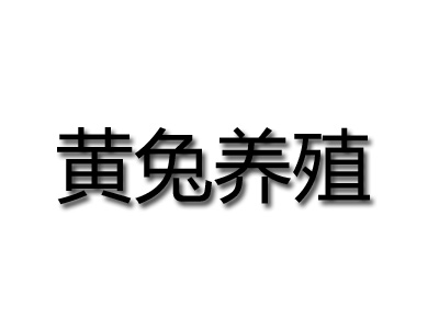 黄兔养殖品牌LOGO