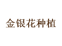 金银花种植品牌LOGO