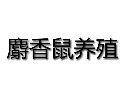 麝香鼠养殖加盟费