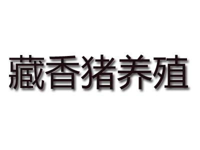 藏香猪养殖品牌LOGO