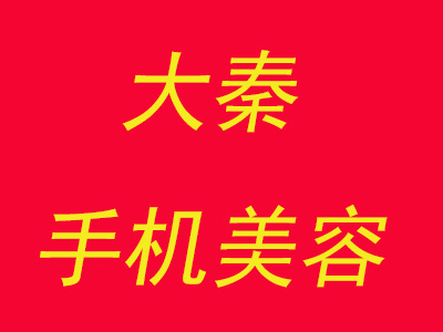 大秦手机美容品牌LOGO