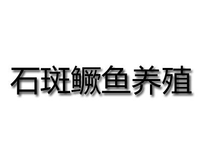 石斑鳜鱼养殖加盟费