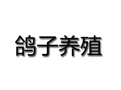 鸽子养殖品牌LOGO