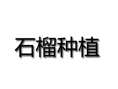 石榴种植品牌LOGO