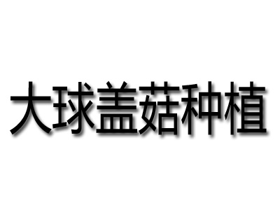 大球盖菇种植品牌LOGO