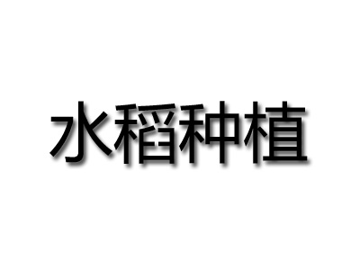 水稻种植品牌LOGO