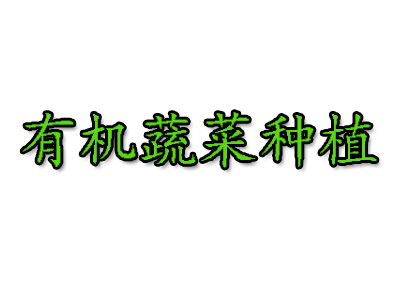 有机蔬菜种植品牌LOGO