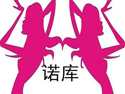 诺库加盟费