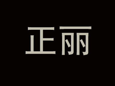 正丽品牌LOGO