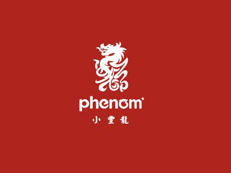 小丰龙童装品牌LOGO