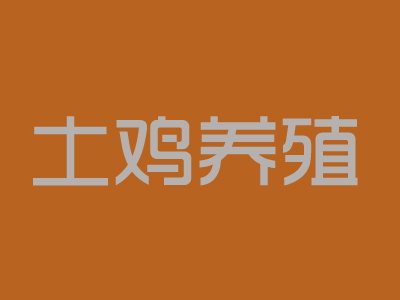 土鸡养殖加盟
