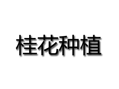 桂花种植品牌LOGO