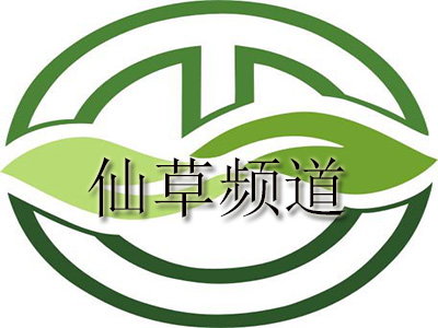 仙草频道品牌LOGO