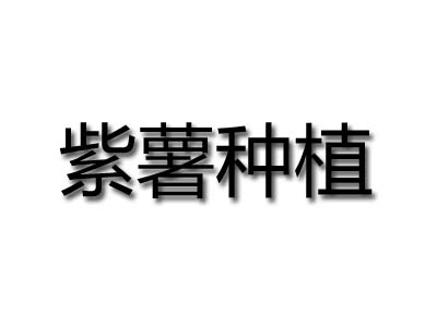 紫薯种植品牌LOGO