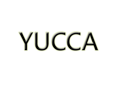 YUCCA品牌LOGO