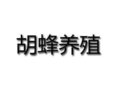 胡蜂养殖加盟
