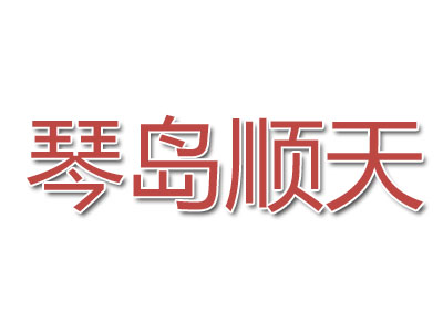 琴岛顺天馄饨品牌LOGO