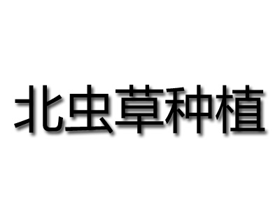 北虫草种植品牌LOGO