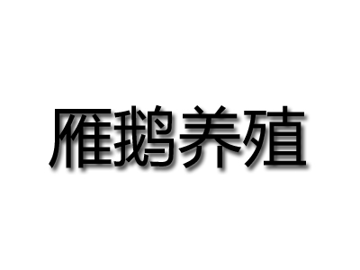 雁鹅养殖品牌LOGO