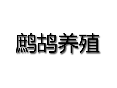 鹧鸪养殖品牌LOGO