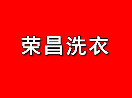 荣昌洗衣品牌LOGO