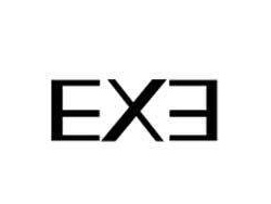 EXE镜自由加盟