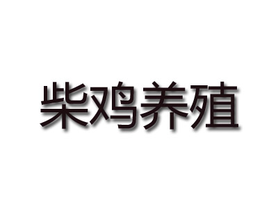 柴鸡养殖品牌LOGO