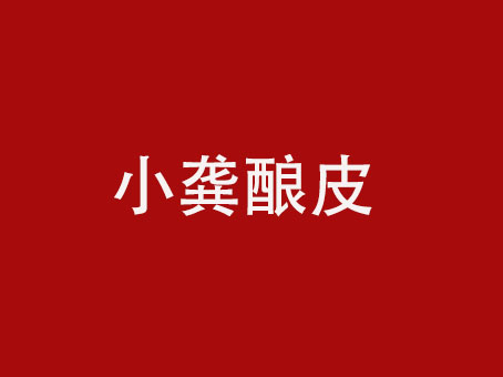 小龚酿皮品牌LOGO