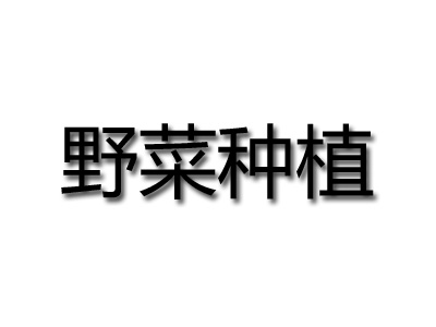 野菜种植品牌LOGO