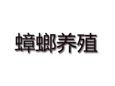 蟑螂养殖加盟