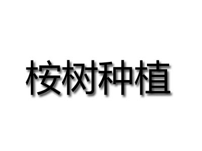 桉树种植品牌LOGO