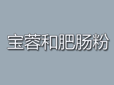 宝蓉和肥肠粉品牌LOGO