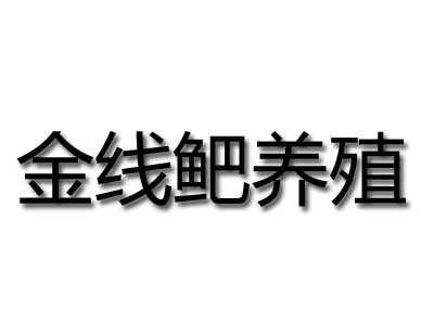 金线鲃养殖品牌LOGO