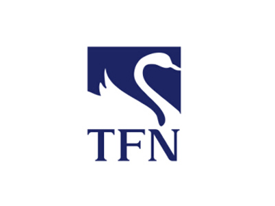 TFN蒂法妮珠宝品牌LOGO