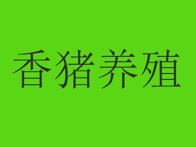 香猪养殖品牌LOGO