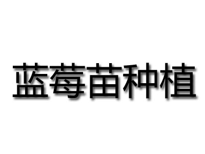 蓝莓苗种植品牌LOGO