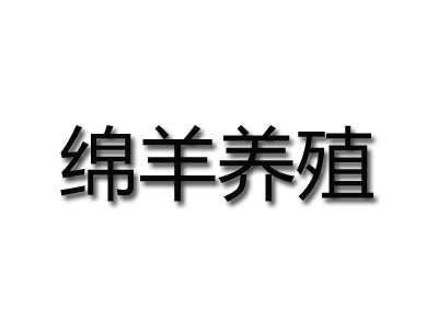 绵羊养殖品牌LOGO